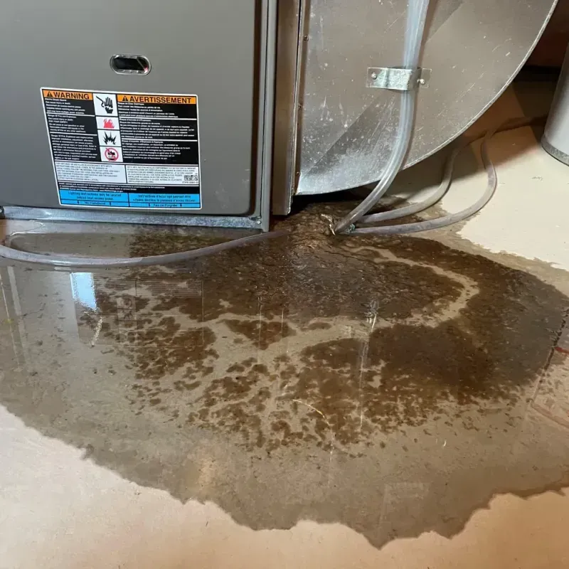 Appliance Leak Cleanup in Richwood, OH